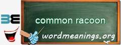 WordMeaning blackboard for common racoon